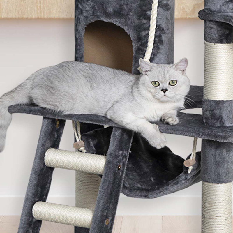 Go Pet Club 62" Cat Tree & Reviews Wayfair
